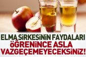 Elma Sirkesinin Yüz ve Vücuttaki Faydaları