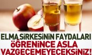 Elma Sirkesinin Yüz ve Vücuttaki Faydaları
