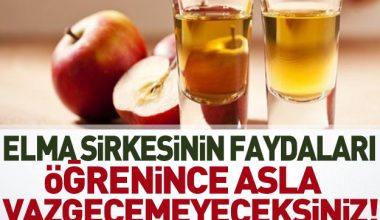 Elma Sirkesinin Yüz ve Vücuttaki Faydaları